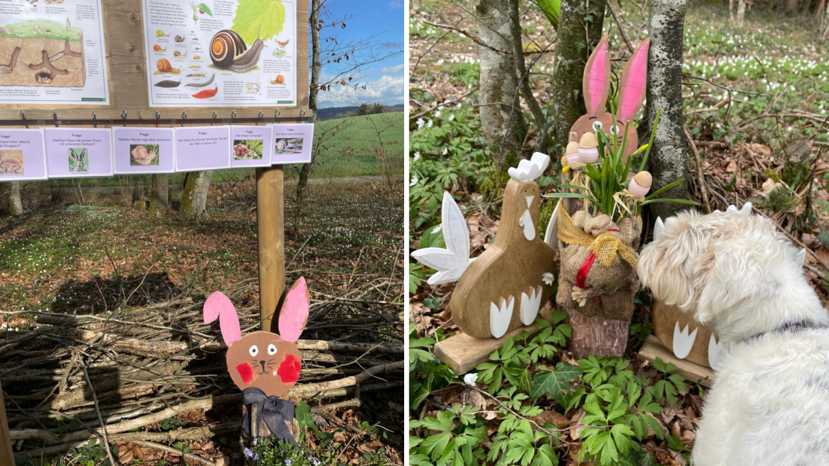 The rabbits are loose in the fairy tale forest
