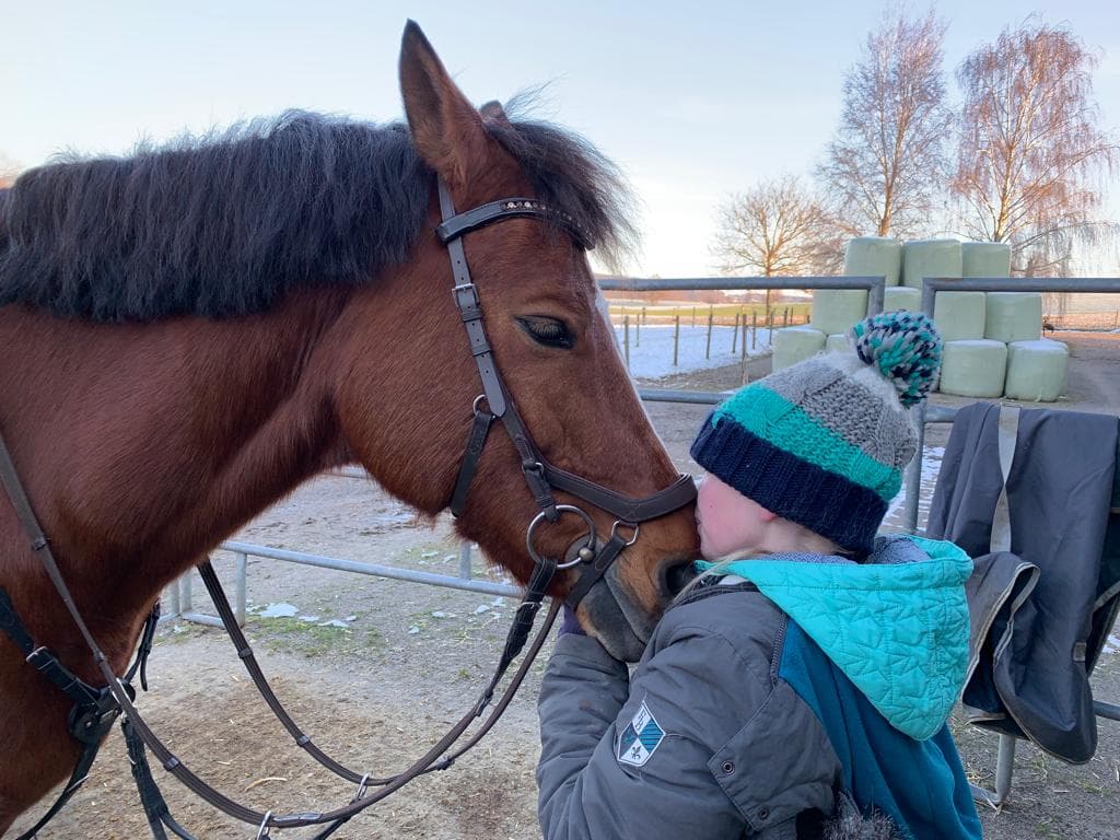 Tierische Begegnungen