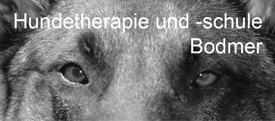 Hundetherapie und -schule Bodmer