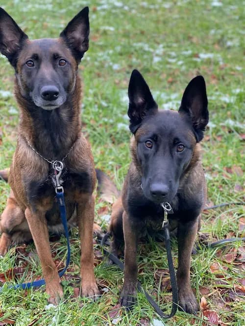 Galerie Bild {{number}}