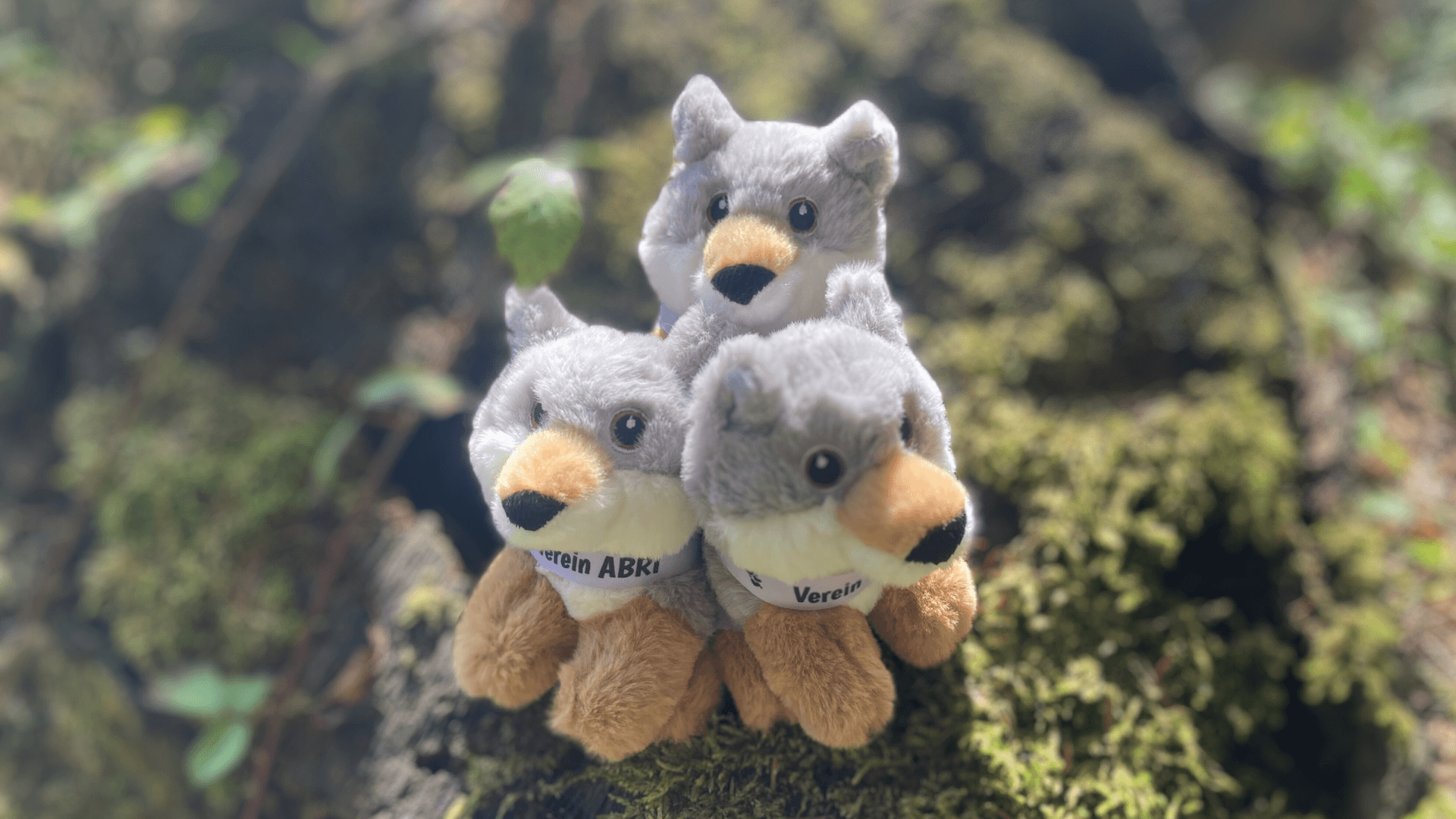 Jede Spende macht einen Unterschied