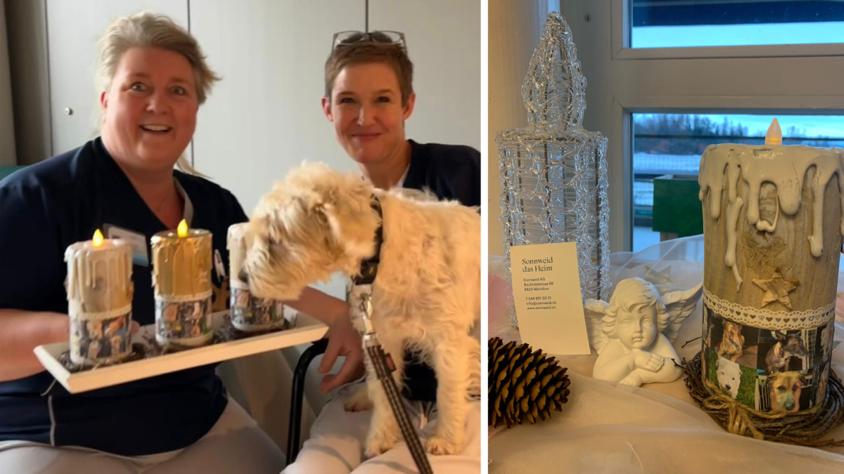 Christmas presents for the care teams | 2023