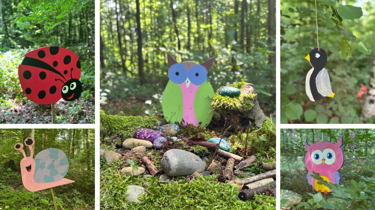Neue Waldbewohner im Märliwald | Sommer 2025