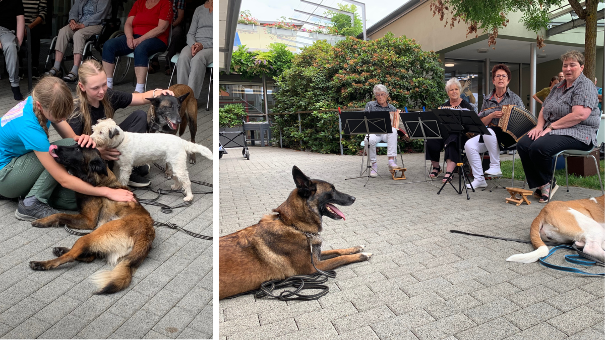 Dog visit at the nursing home Sonnweid / Summer 2023