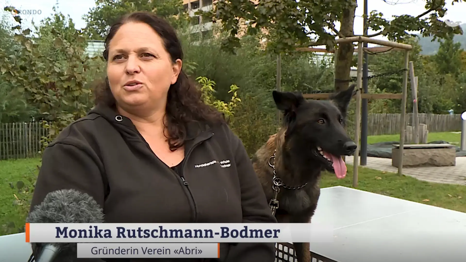 Therapiehunde im Einsatz bei Kindern