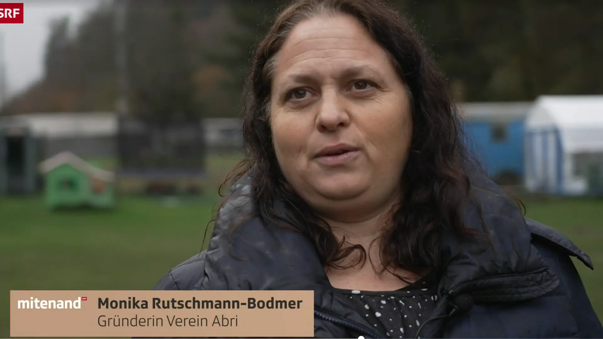 Hundetherapie bei familiärer Gewalt