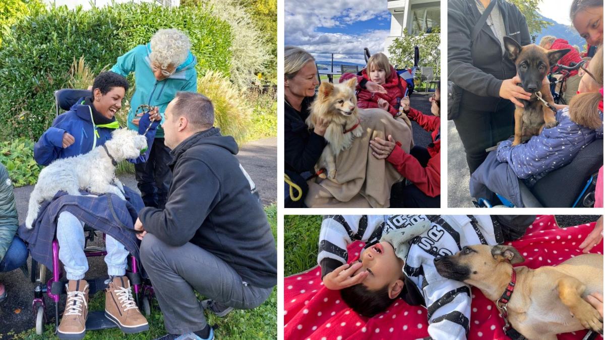 Hundebesuch in der Stiftung Kifa