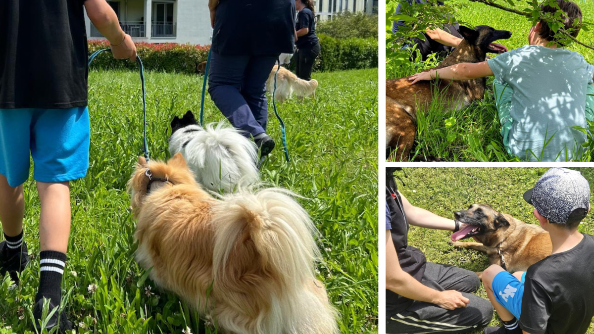 The therapy dogs visit the Grünau children's home in Wädenswil