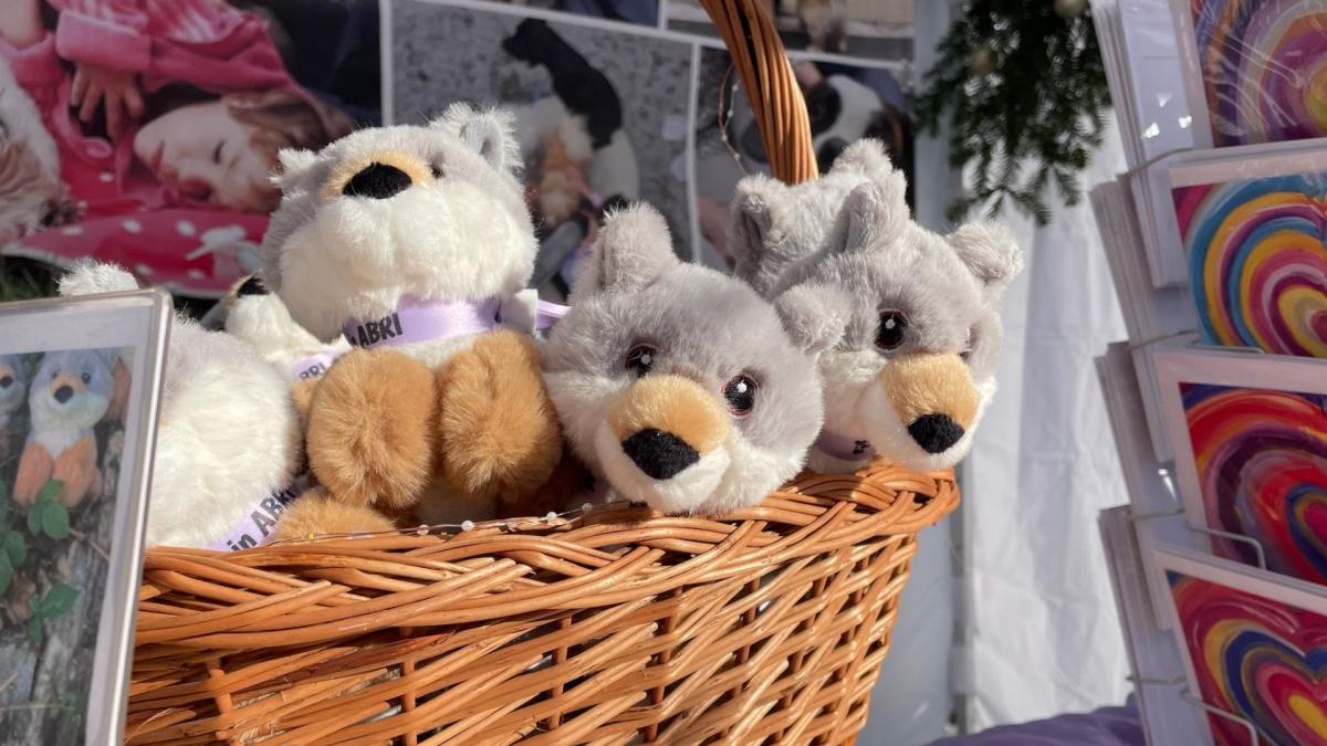 Besuch der ABRI-Wölfe im neuen Kinderspital Zürich | 2024