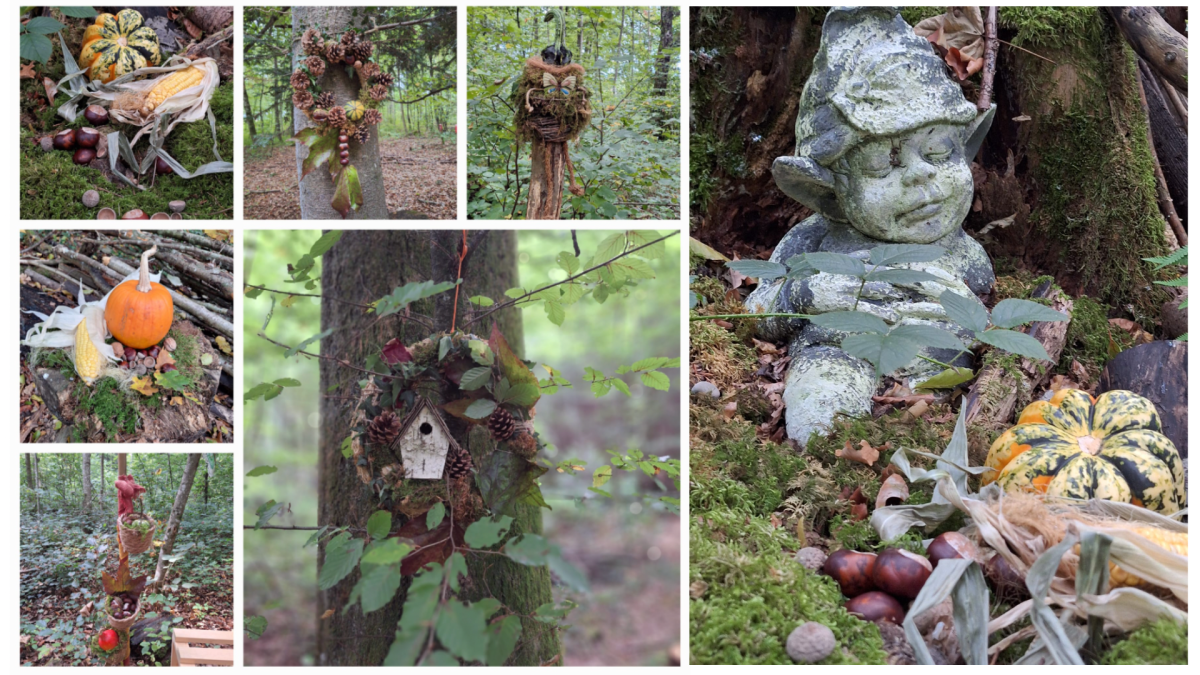 Teaching and fairy tale forest in autumn colors
